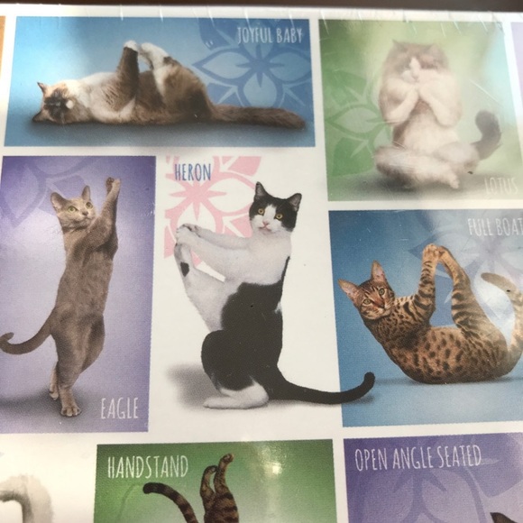 Yoga Cats 1000 pcs high quality puzzle - Picture 5 of 8